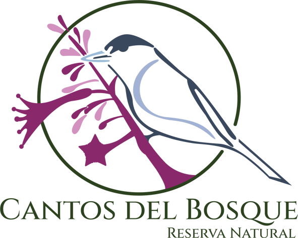 logo en curvas
